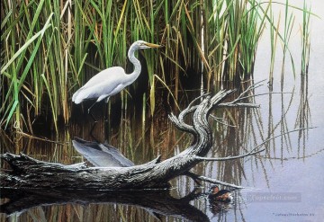 yellow billed egret and little grebe birds Oil Paintings